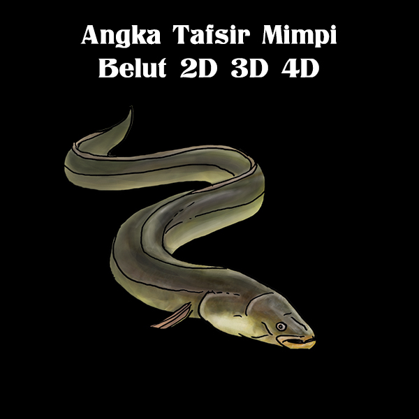 Detail Buku Mimpi Belut 2d Nomer 22