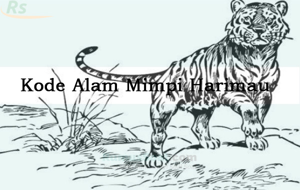 Detail Buku Mimpi Berantem Dengan Macan Nomer 2