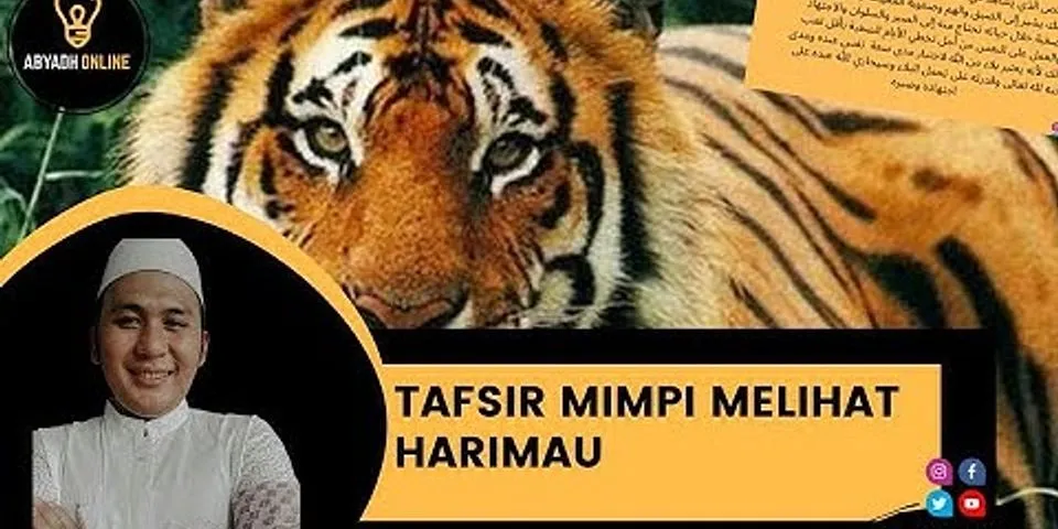 Detail Buku Mimpi Berantem Dengan Macan Nomer 12