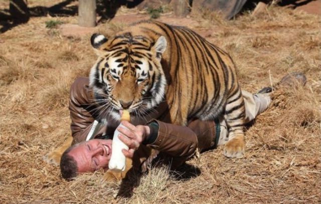 Detail Buku Mimpi Berantem Dengan Macan Nomer 26