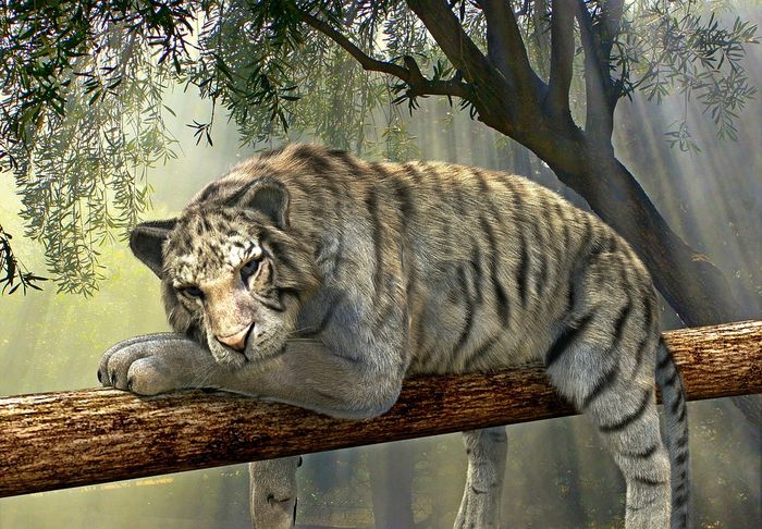 Detail Buku Mimpi Berantem Dengan Macan Nomer 33