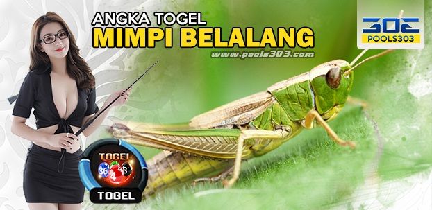 Detail Buku Mimpi Bergambar Belalang Nomer 43