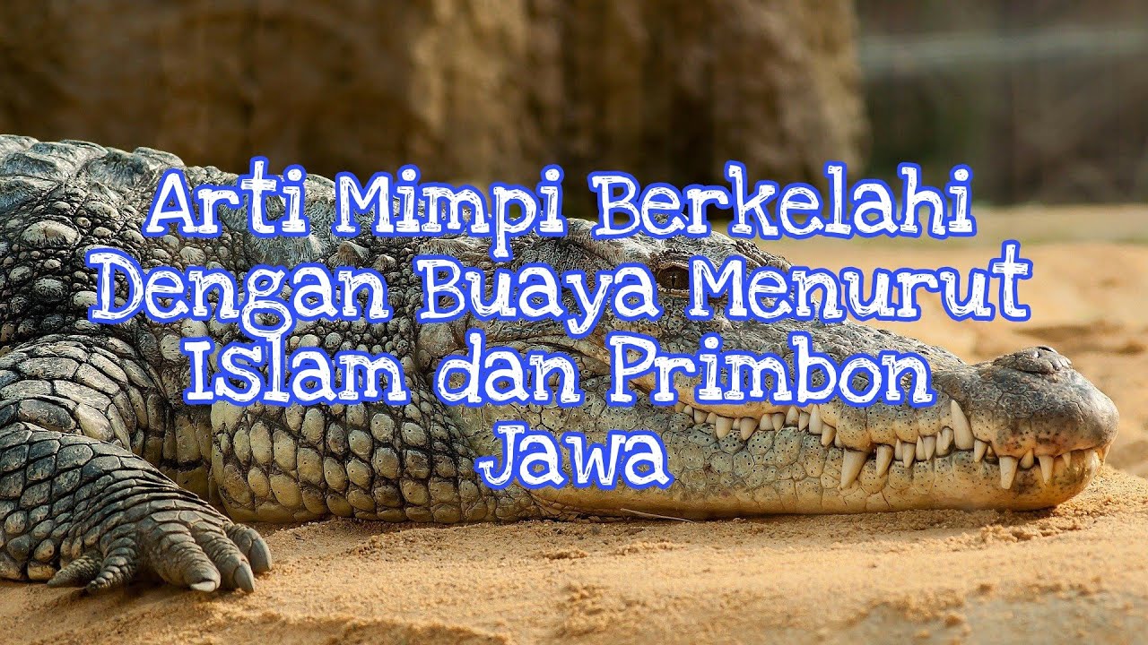 Detail Buku Mimpi Berkelahi Dengan Buaya Nomer 2