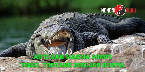 Detail Buku Mimpi Berkelahi Dengan Buaya Nomer 25