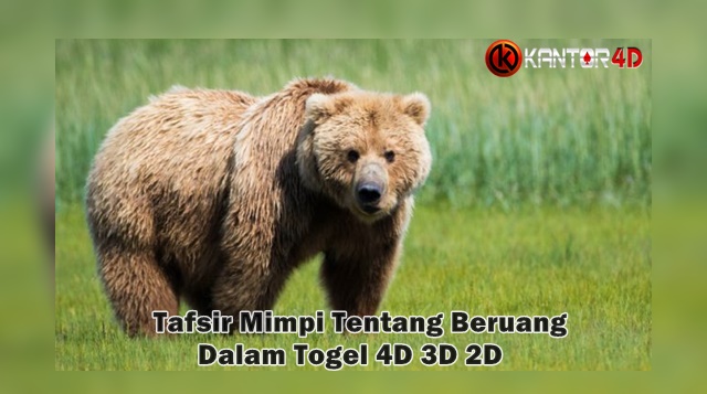 Detail Buku Mimpi Beruang Nomer 12