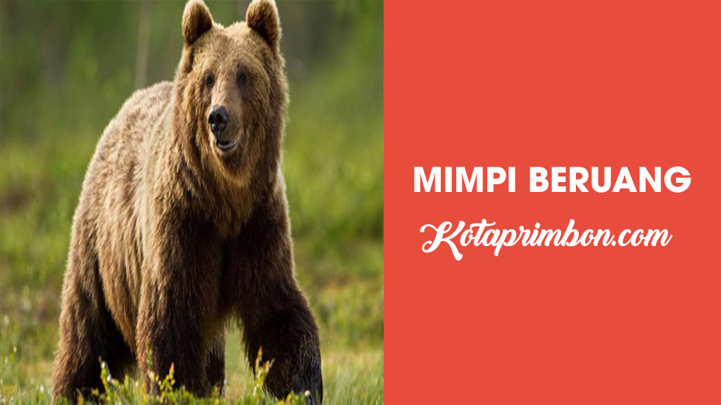 Detail Buku Mimpi Beruang Nomer 33