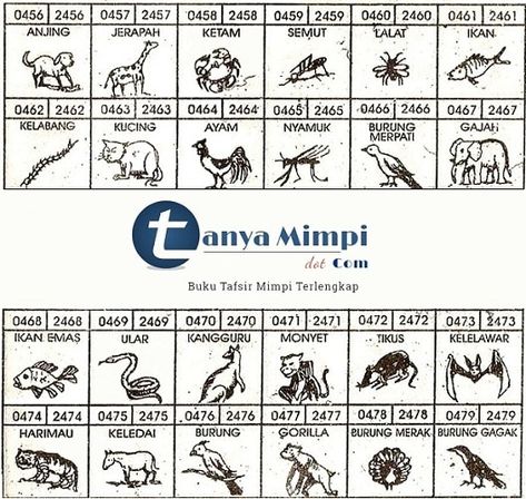 Detail Buku Mimpi Binatang Anjing Nomer 18