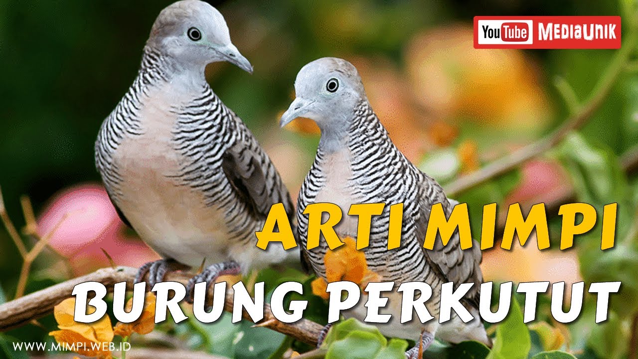 Detail Buku Mimpi Burung Tekukur Nomer 23