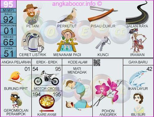 Detail Buku Mimpi Burung Tekukur Nomer 7