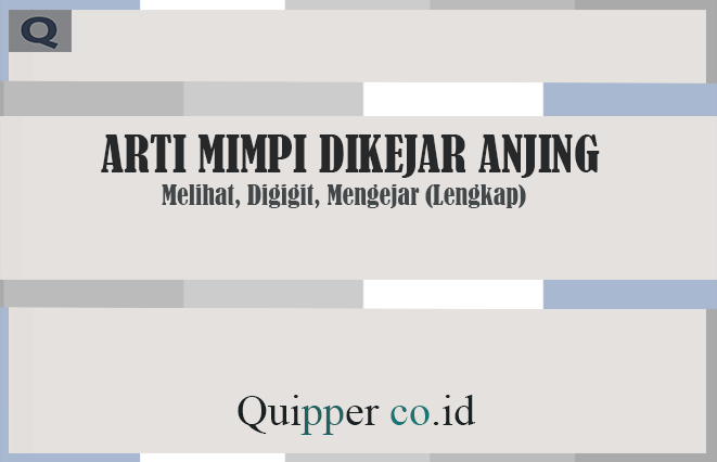 Detail Buku Mimpi Di Kejar Pakai Nomer 42