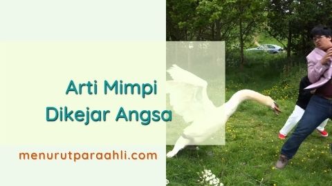 Detail Buku Mimpi Dikejar Angsa Nomer 15