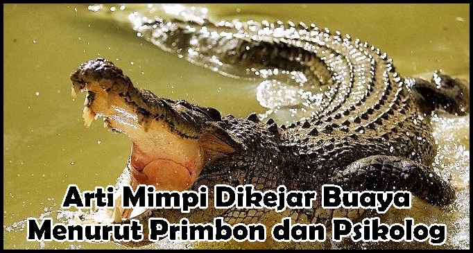 Detail Buku Mimpi Dikejar Buaya Nomer 31