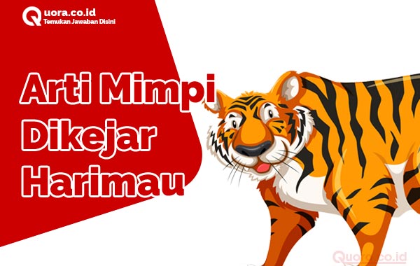 Detail Buku Mimpi Dikejar Harimau Nomer 3