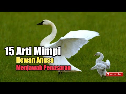 Detail Buku Mimpi Dikejar Kejar Angsa Nomer 25