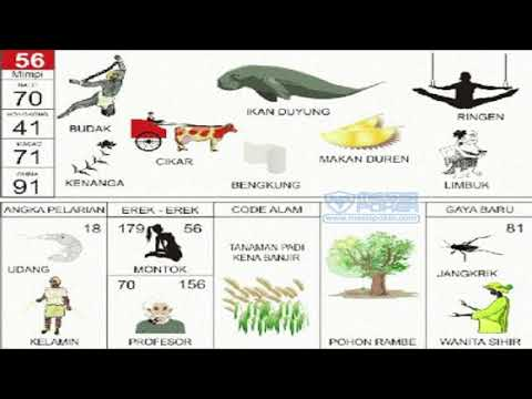 Buku Mimpi Dinosaurus - KibrisPDR