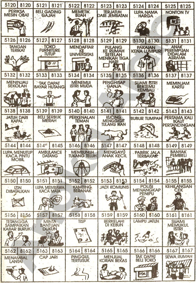 Detail Buku Mimpi Gajah Togel Nomer 43