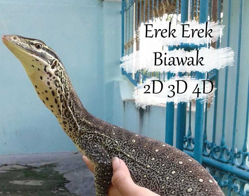 Detail Buku Mimpi Hewan Biawak Nomer 10