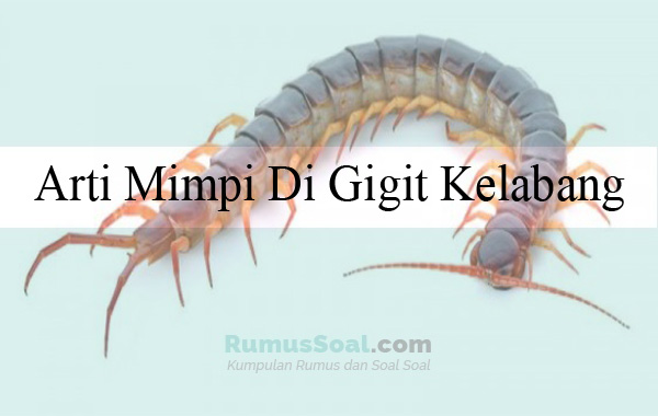 Detail Buku Mimpi Kelabang Besar Nomer 21