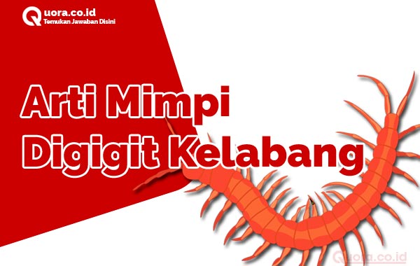 Detail Buku Mimpi Kelabang Besar Nomer 22