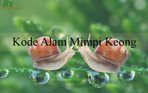 Buku Mimpi Keong Mas - KibrisPDR