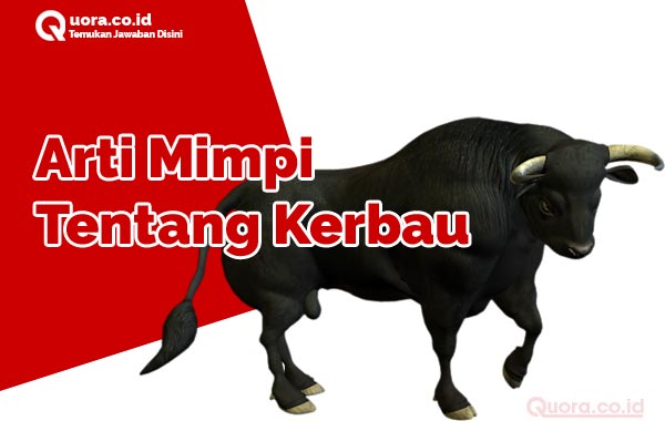 Detail Buku Mimpi Kerbau 4d Nomer 25