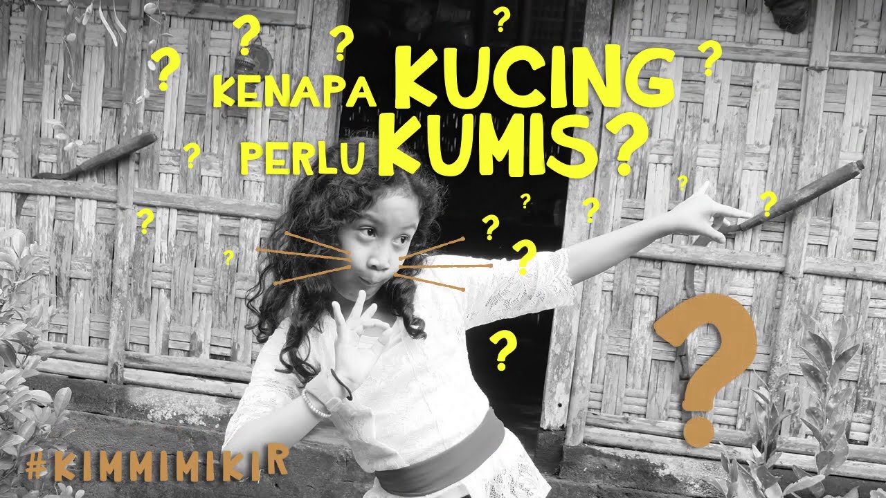 Detail Buku Mimpi Kucing Lepas 4d Nomer 25