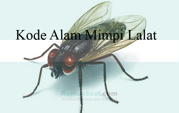 Detail Buku Mimpi Lalat Nomer 7