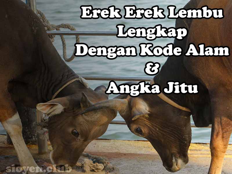 Detail Buku Mimpi Lembu Nomer 21