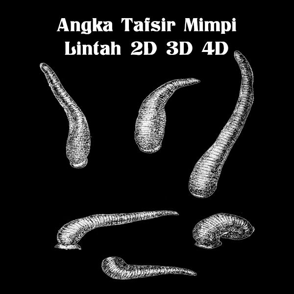 Detail Buku Mimpi Lintah Darat Nomer 23