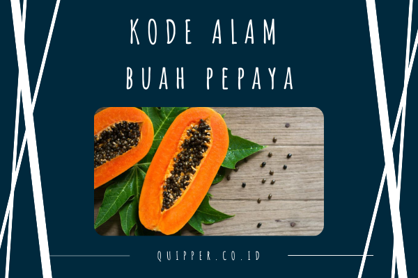 Detail Buku Mimpi Makan Pepaya Nomer 6