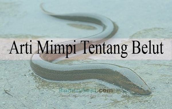 Detail Buku Mimpi Mancing Dapat Ular Nomer 44