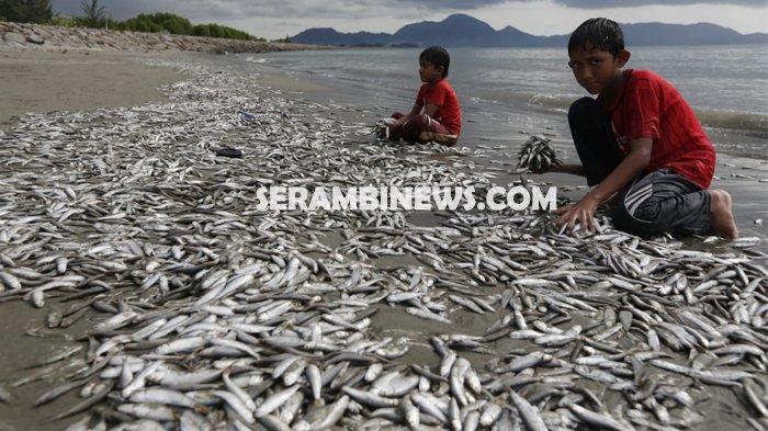 Detail Buku Mimpi Mancing Ikan Mujair Nomer 42