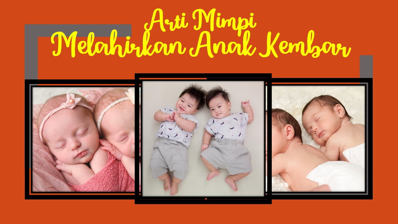 Detail Buku Mimpi Melahirkan Anak Kembar Nomer 16