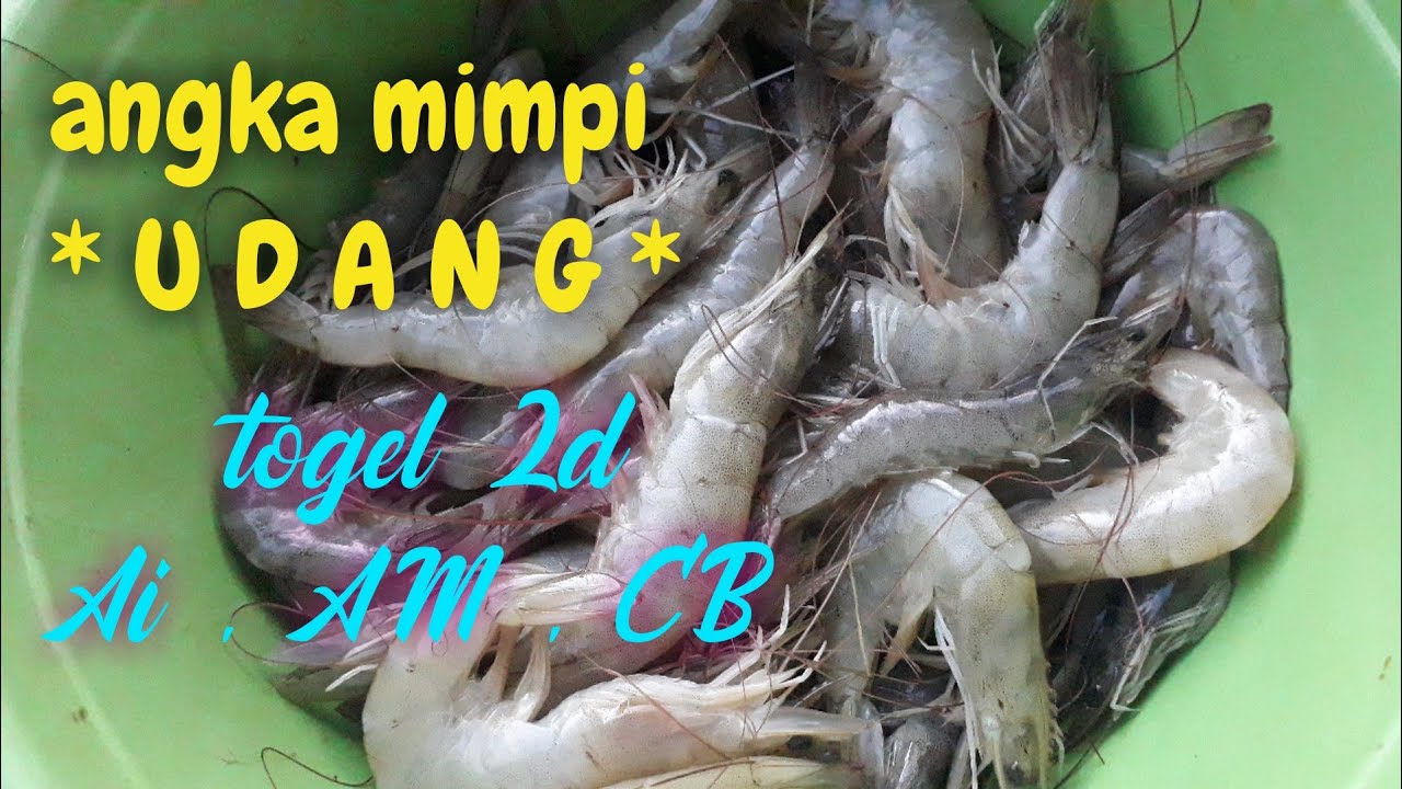 Detail Buku Mimpi Menangkap Udang Nomer 37