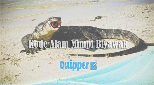 Detail Buku Mimpi Menembak Biawak Nomer 5