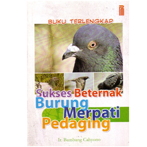 Detail Buku Mimpi Merpat Nomer 34