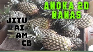 Detail Buku Mimpi Nanas Nomer 43