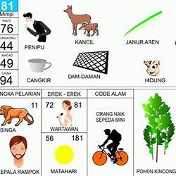 Detail Buku Mimpi Nomor 71 Nomer 11