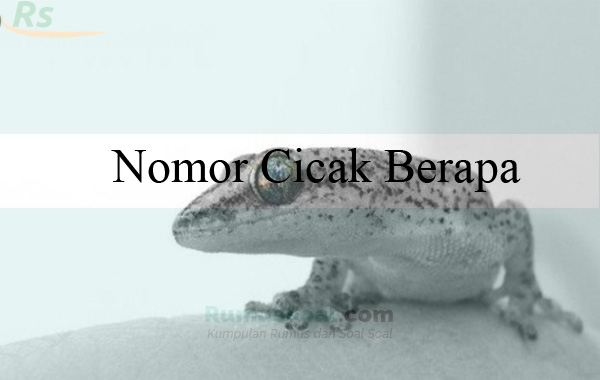 Detail Buku Mimpi Nomor Cicak Nomer 6