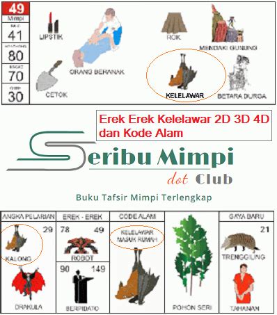 Detail Buku Mimpi Nomor Kelelawar Nomer 41