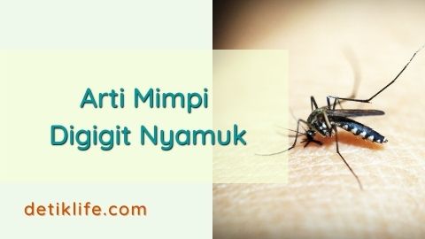 Detail Buku Mimpi Nyamuk Malaria Nomer 25