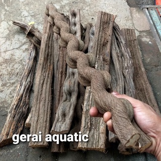 Detail Kayu Jambu Untuk Aquascape Nomer 35