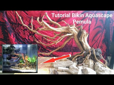 Detail Kayu Jambu Untuk Aquascape Nomer 50