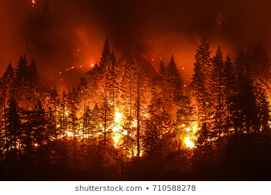 Detail Kebakaran Hutan Png Nomer 4