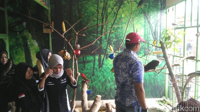 Detail Kebun Binatang Mini Nomer 11