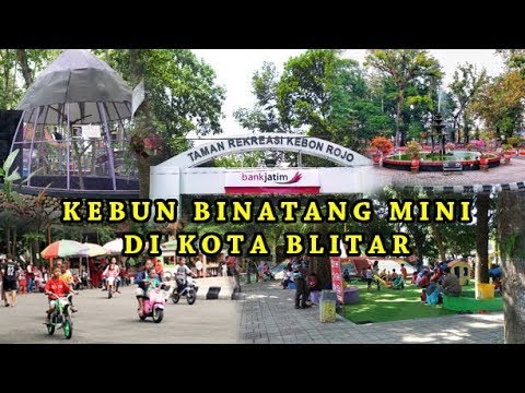Detail Kebun Binatang Mini Nomer 46