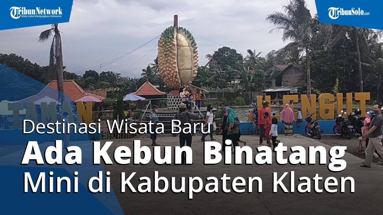 Detail Kebun Binatang Mini Nomer 49