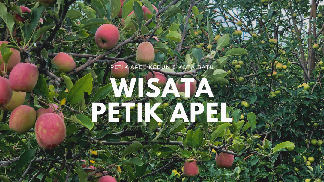 Detail Kebun Buah Apel Nomer 37