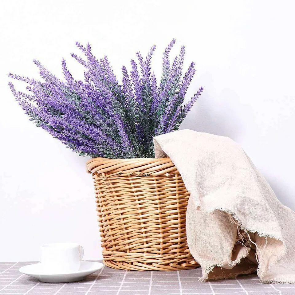 Detail Kebun Lavender Di Indonesia Nomer 47