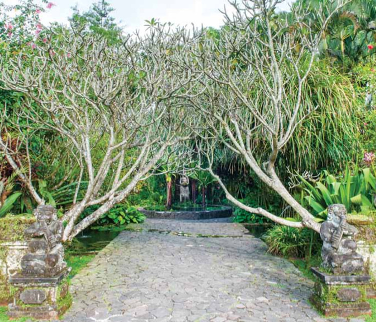 Detail Kebun Rumah Bali Nomer 23